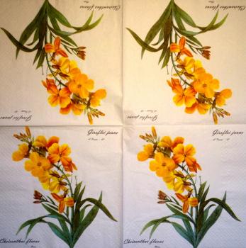 125 Blumen Sonstige - 3 lagig